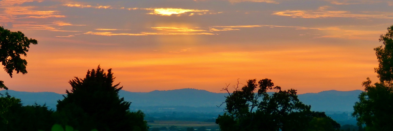 Sharon Larkin banner