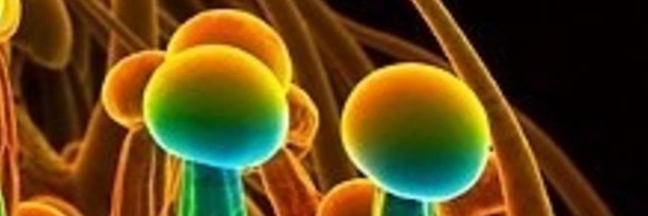 MMMATweets's profile banner image