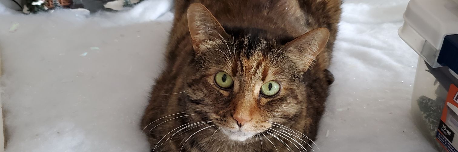 Marg2057's profile banner image