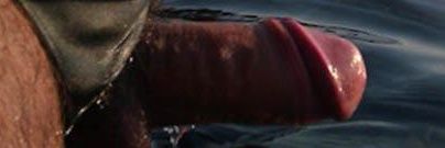 arrowpress's profile banner image