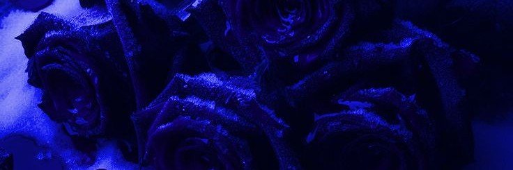 s____693's profile banner image