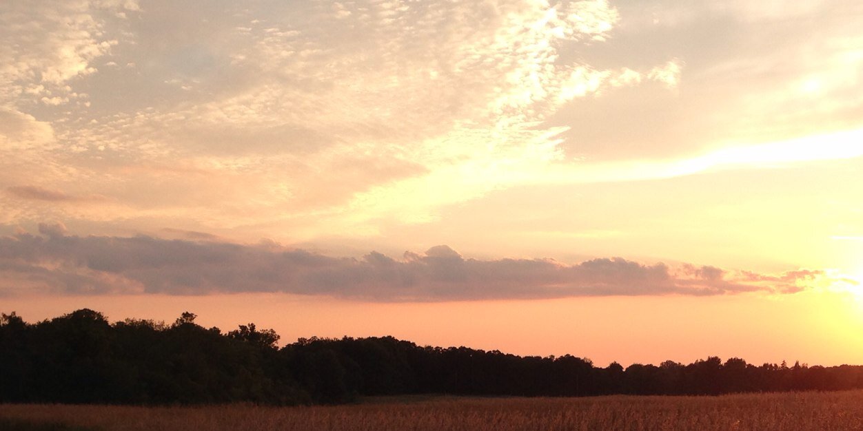 pkrreed's profile banner image