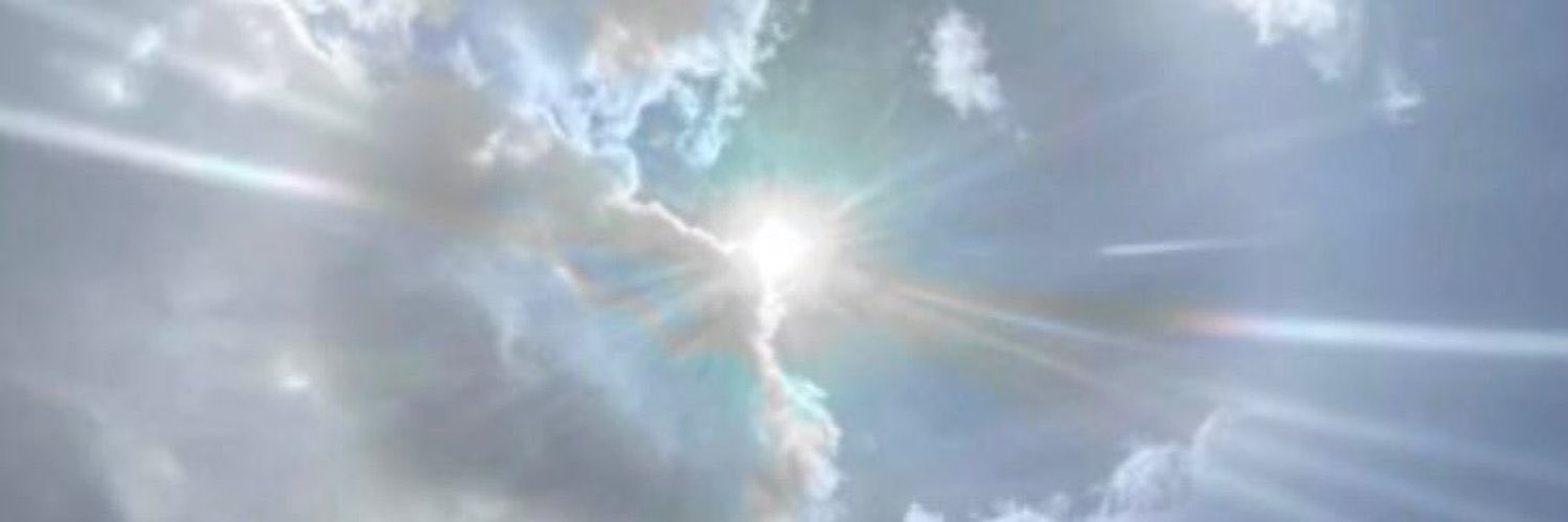 raf simmons banner