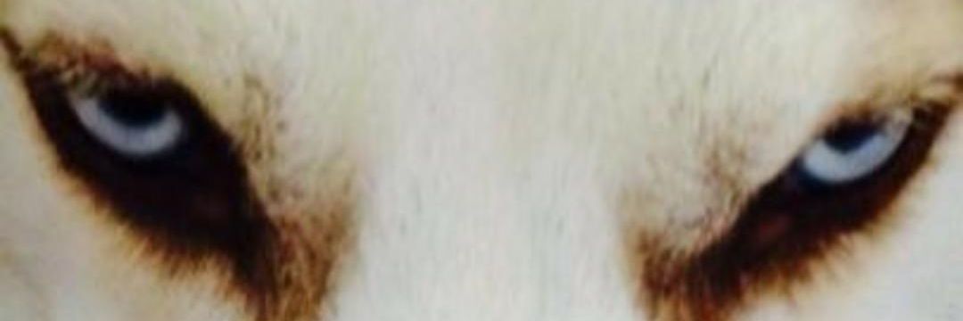 Mikevde25's profile banner image