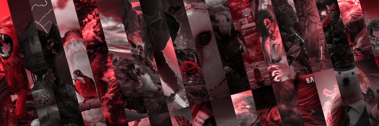 michaelhar09's profile banner image