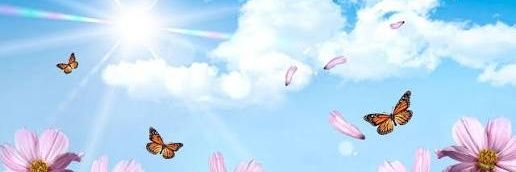 brigitter1985's profile banner image
