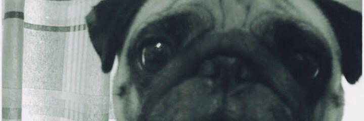 mveronica19's profile banner image