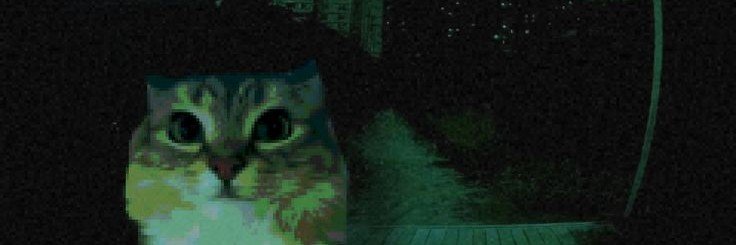 salppyboi's profile banner image