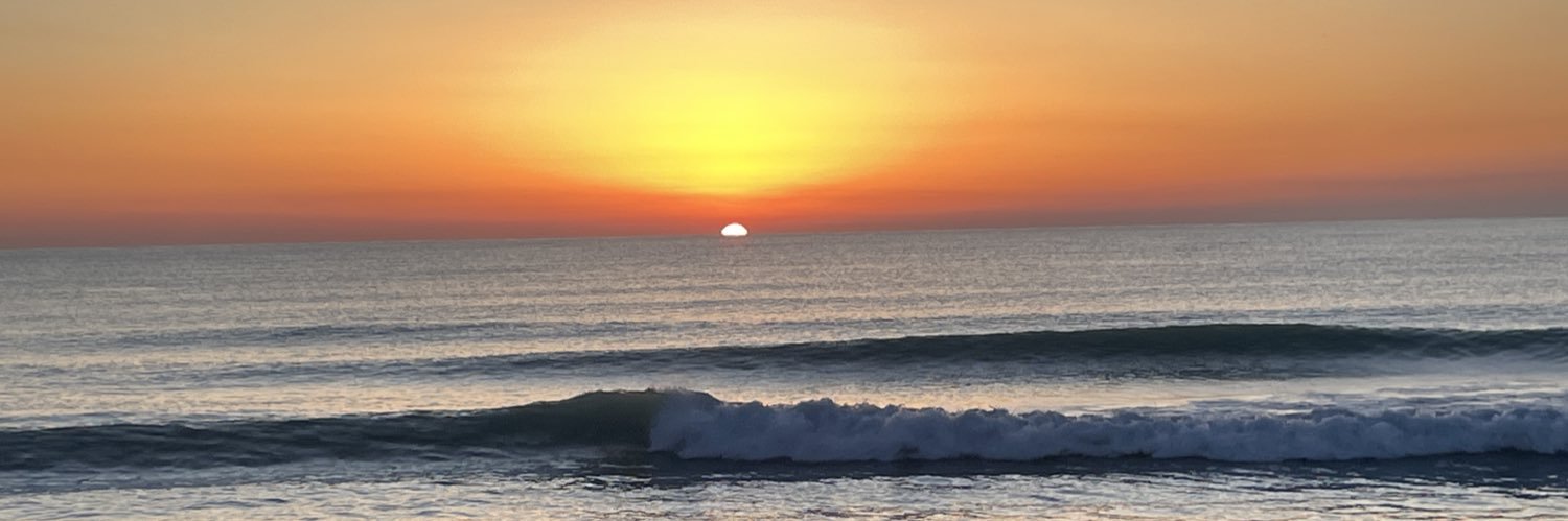 CarnivoreBella banner