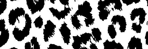 StmuDeltaZeta's profile banner image