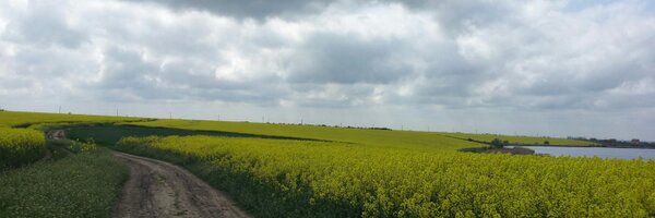 virtopeanu Profile Banner