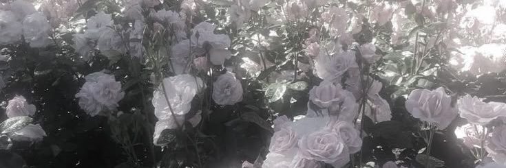 𝑀 💘 banner