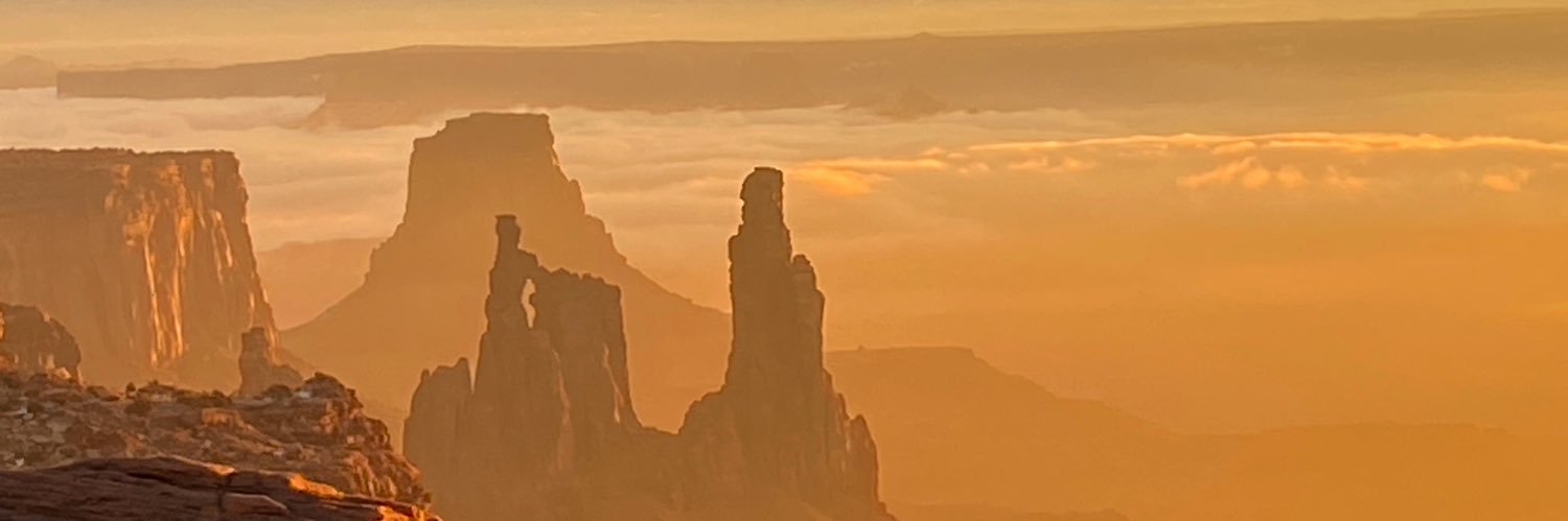 nativeminnow's profile banner image
