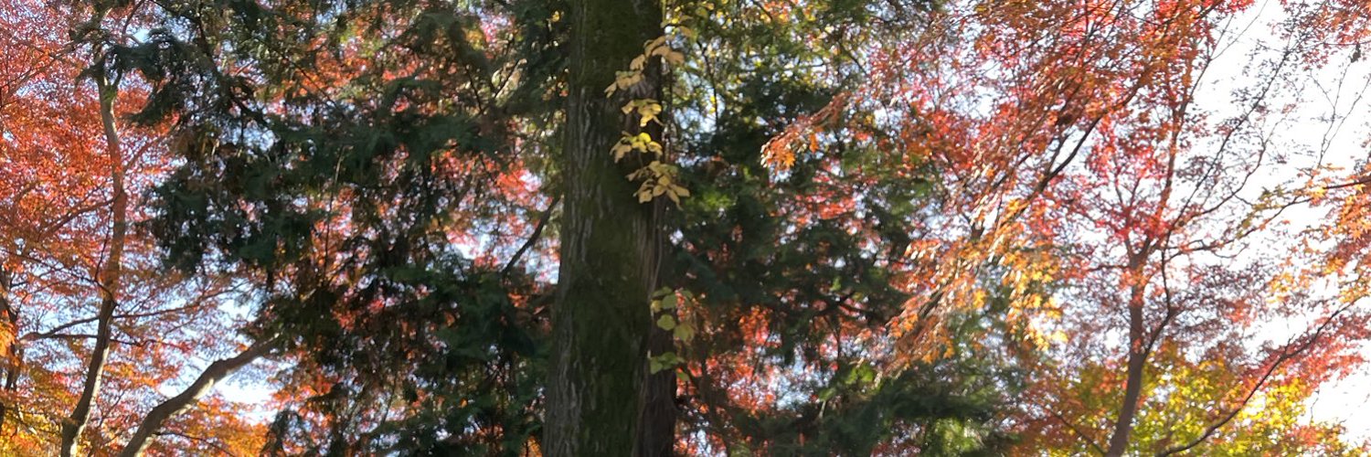 maximumeast's profile banner image