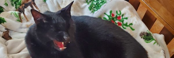 CM_MattD Profile Banner