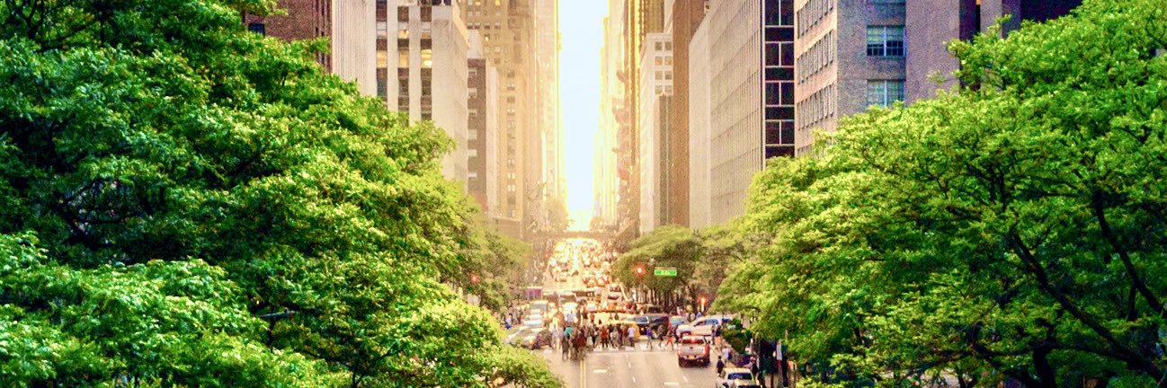 Alfred E. Newman banner