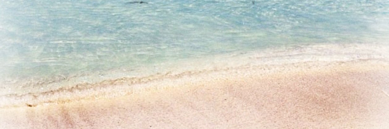allantwitty's profile banner image