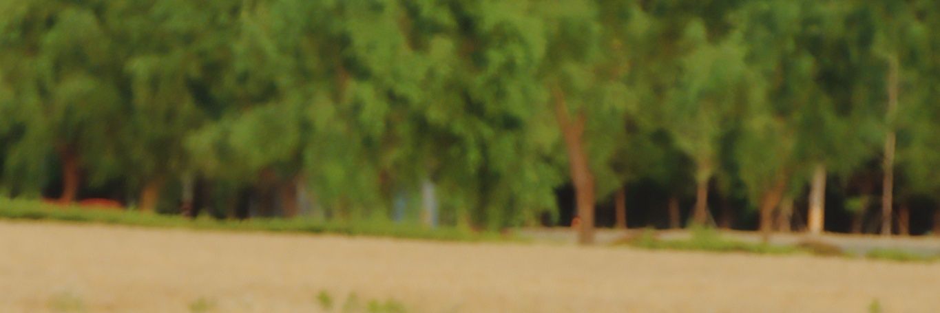 ออ.어어 哦哦 banner