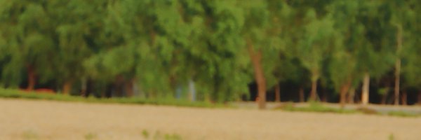 AAofAAff Profile Banner