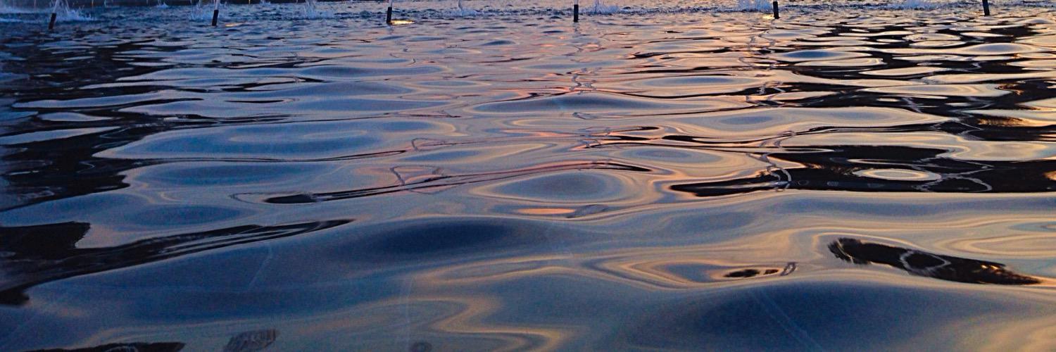 morgan taylor banner