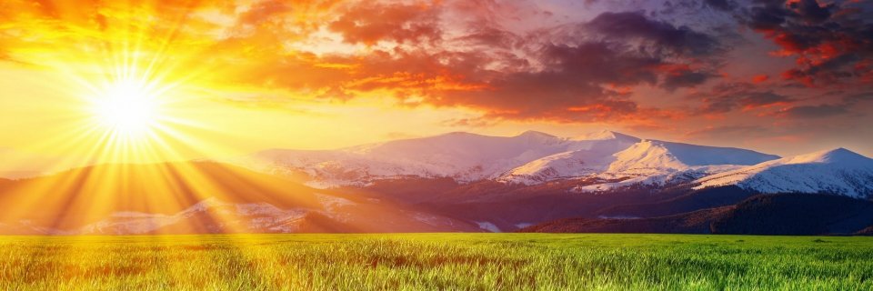 Phovox's profile banner image