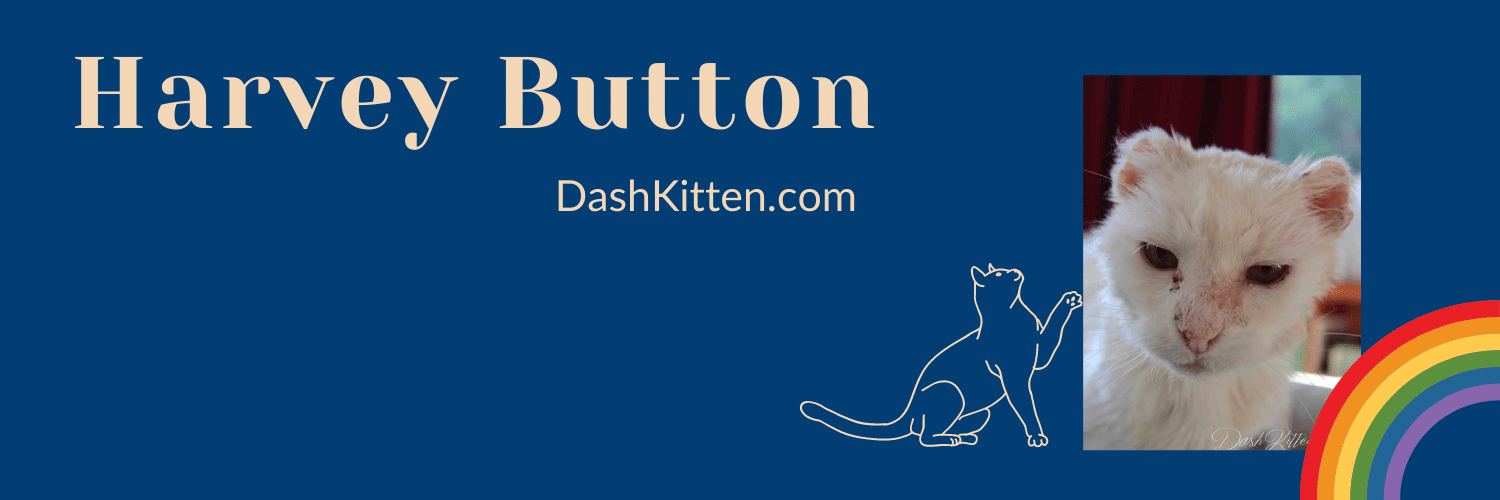 Harvey Button banner