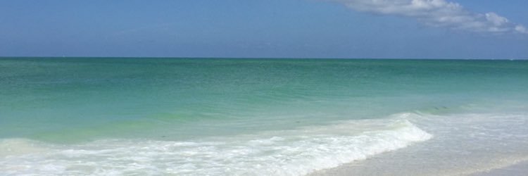jen_lamons's profile banner image