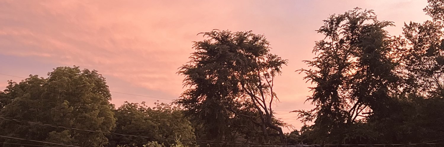 SoulFirePhoeni2's profile banner image