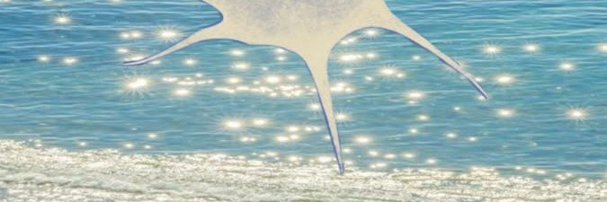 douknowhowcute's profile banner image