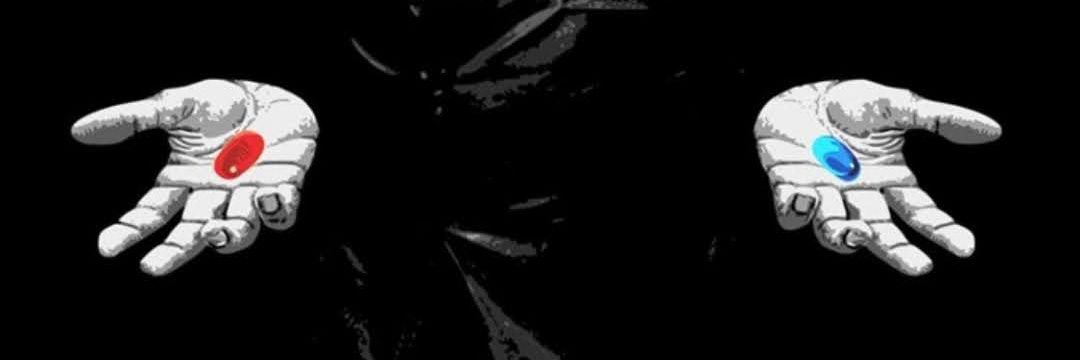 Fork Dao R's banner