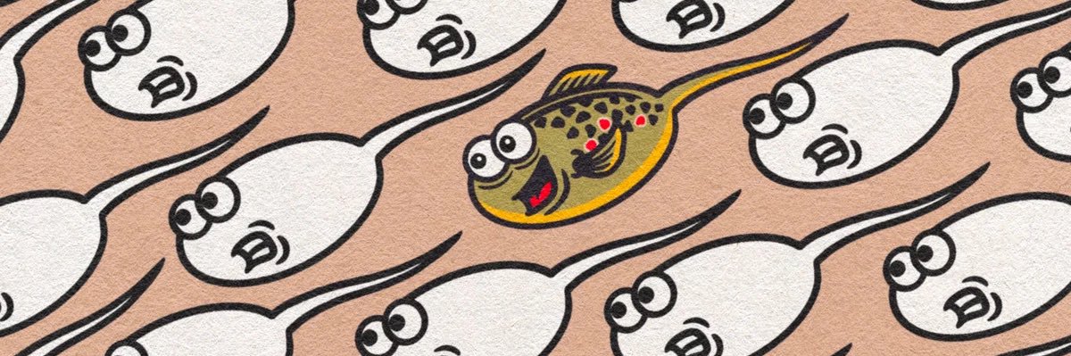 StretchingAsh's profile banner image