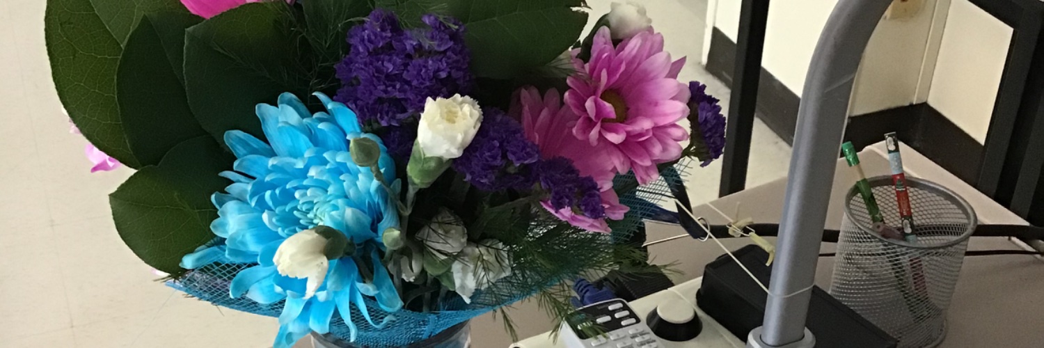 Feeling Fully banner