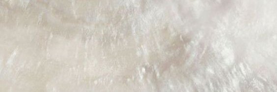 tingkelly's profile banner image