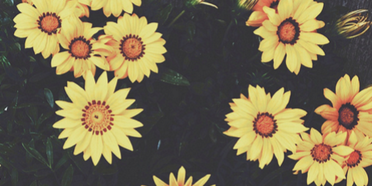 Nadyazuniga's profile banner image