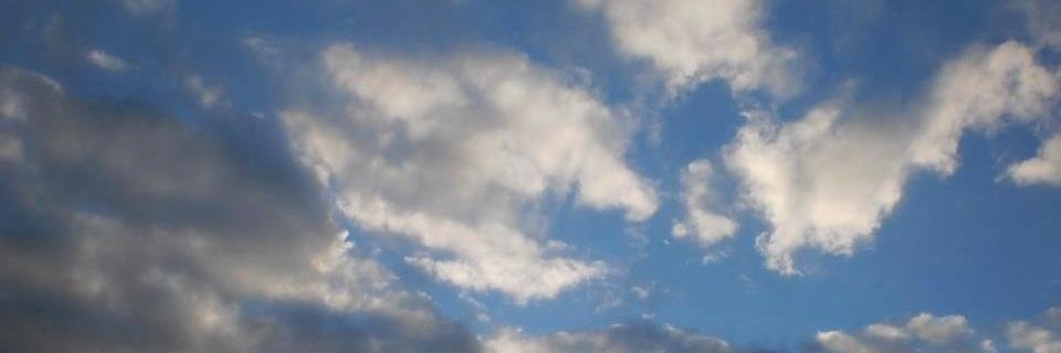 missinred's profile banner image