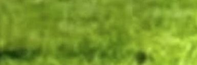 Vally banner