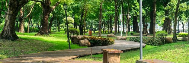 esfaqueador do parque's banner