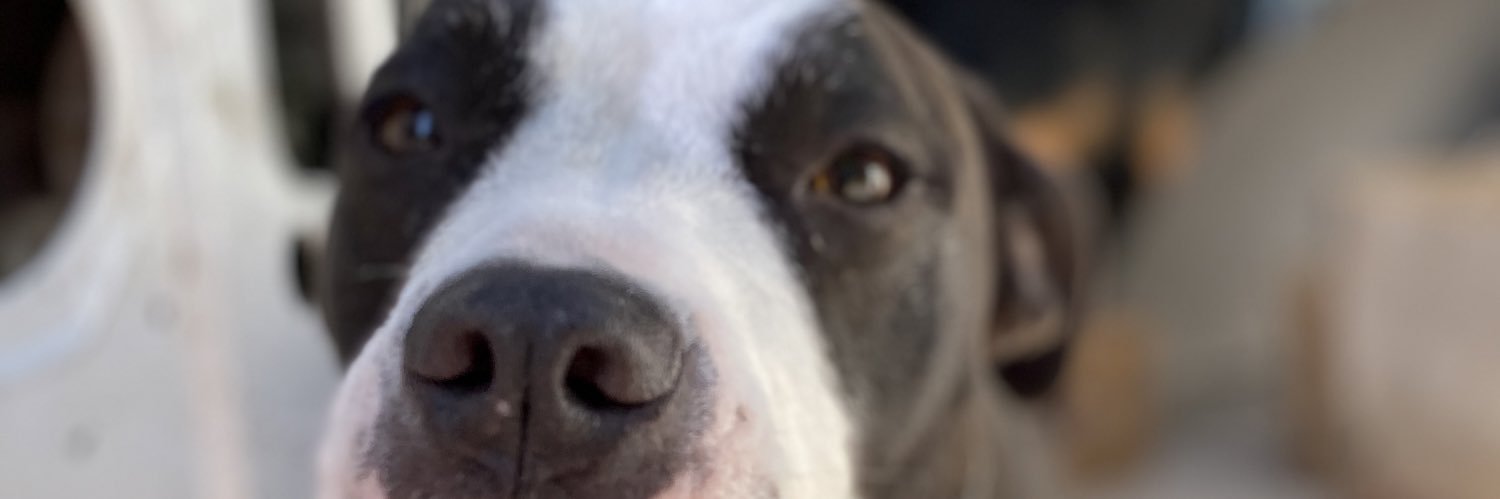 sunniegurl's profile banner image