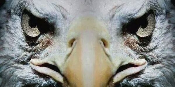 Azizzz1903's profile banner image
