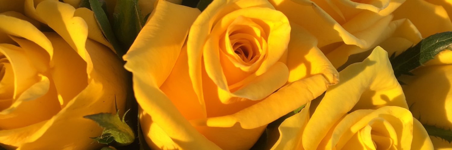 mpxmi's profile banner image