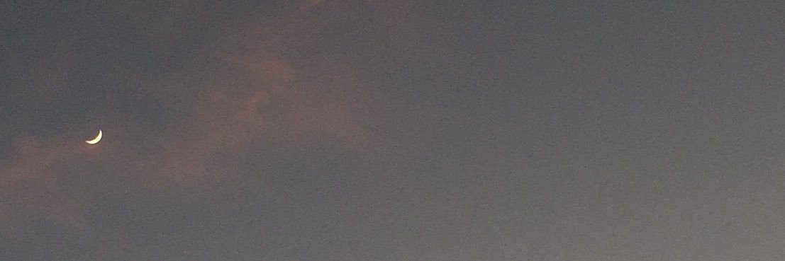 ricky banner