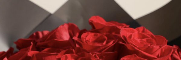 a_abo83350 Profile Banner