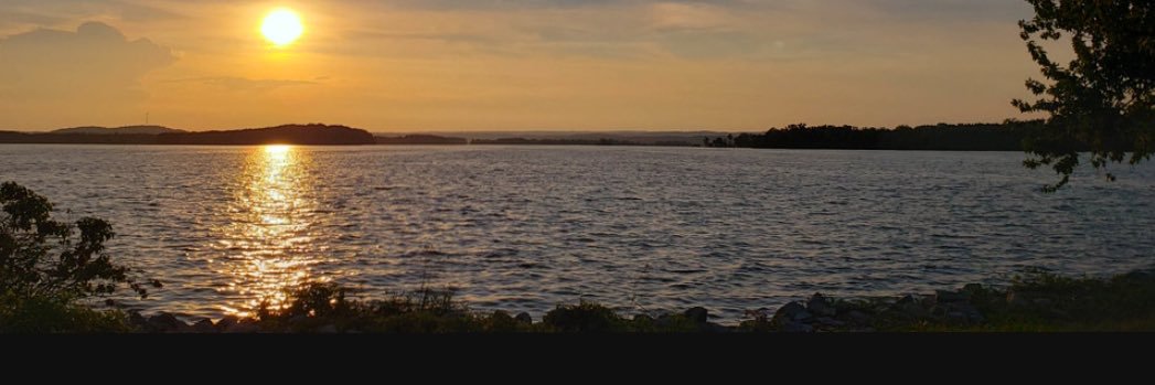 Topwater_Frog banner