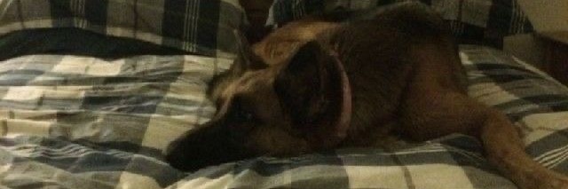 uglyfreak's profile banner image