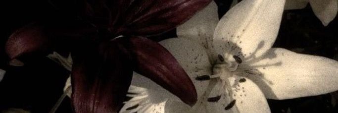 itsraprapsy's profile banner image