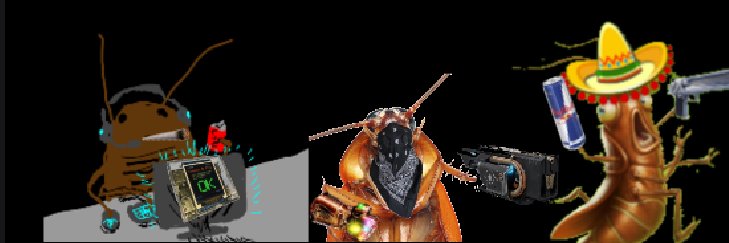 RoachGamingD2 banner