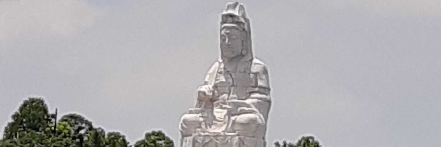 𝚠𝚒𝚖𝚊𝚕 banner