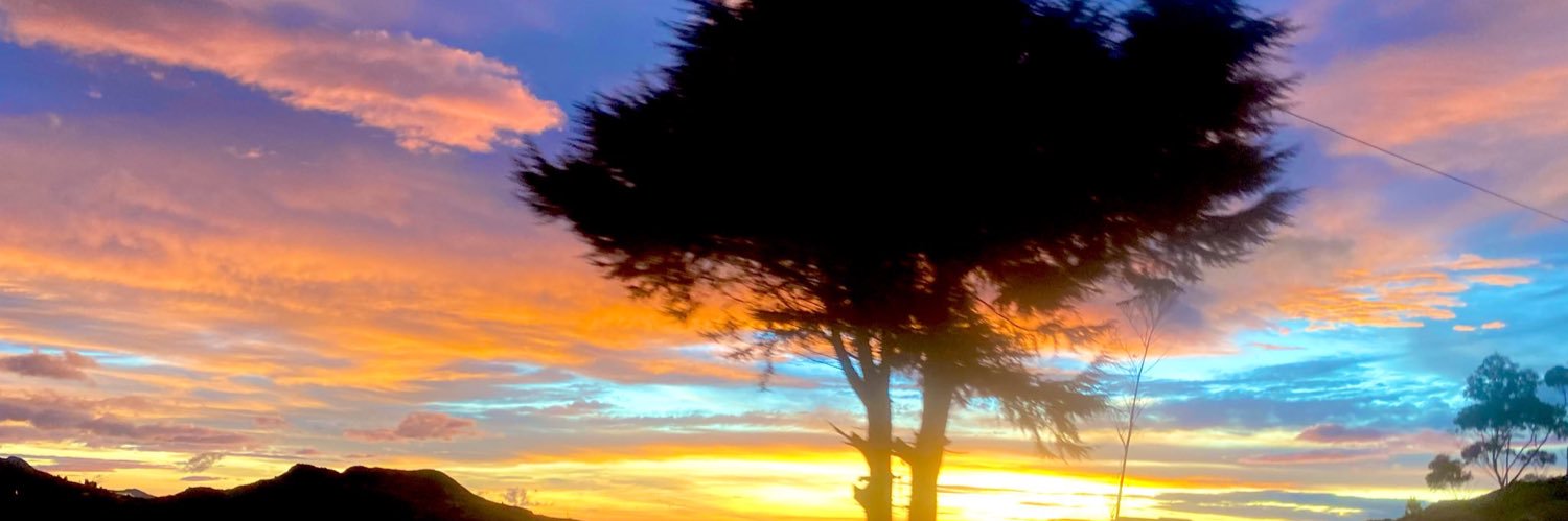 AlejandraMCV's profile banner image