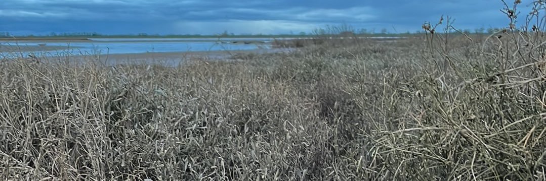 MattyMalle's profile banner image