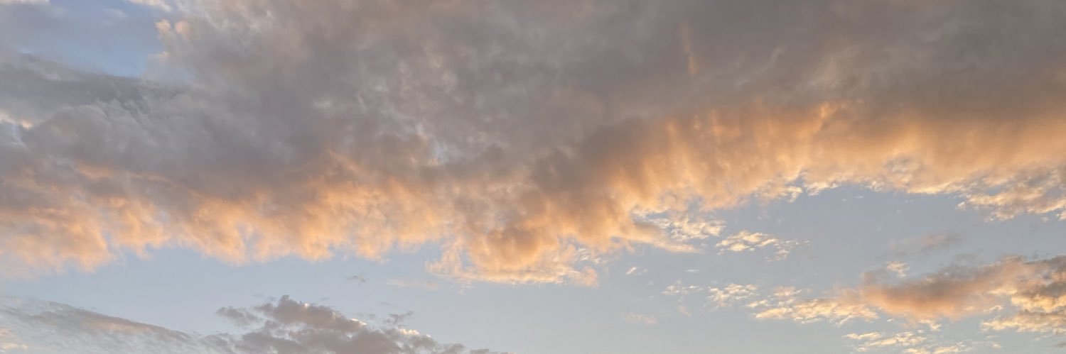 _morgansaylor's profile banner image